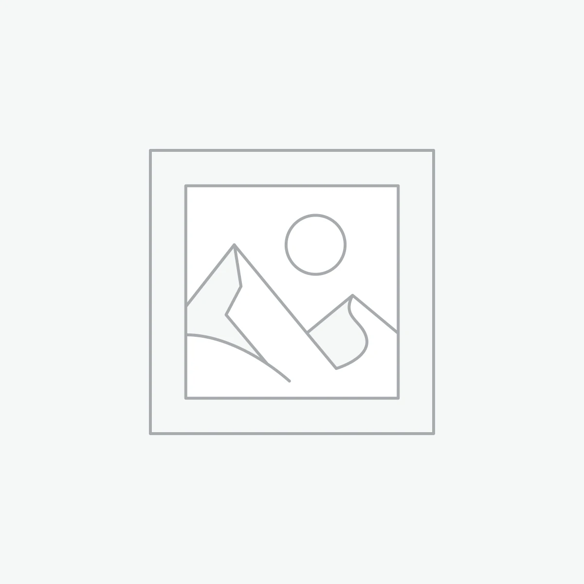 Motorhome (low profile)